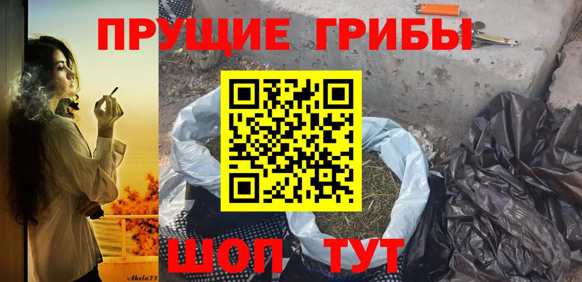 Псилоцибиновые грибы мицелий Елабуга