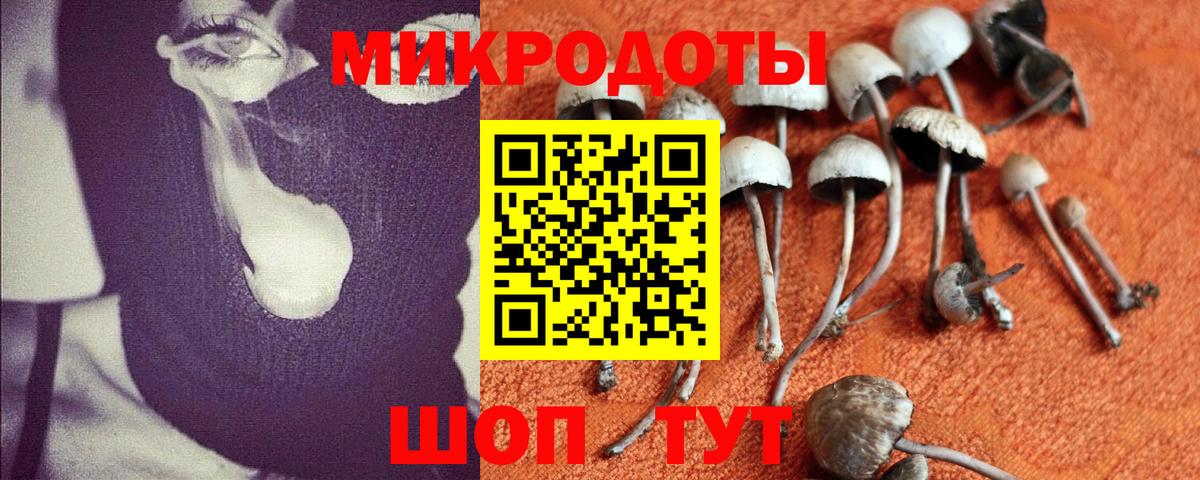 Галлюциногенные грибы MAGIC MUSHROOMS  Вход с VPN  магазин продажи   Елабуга  Галлюциногенные грибы MAGIC MUSHROOMS 